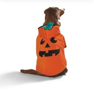 Orange Pumpkin Dog Costume